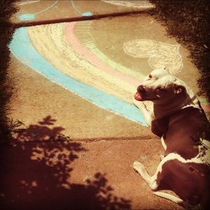 Meet your Posher, Anita